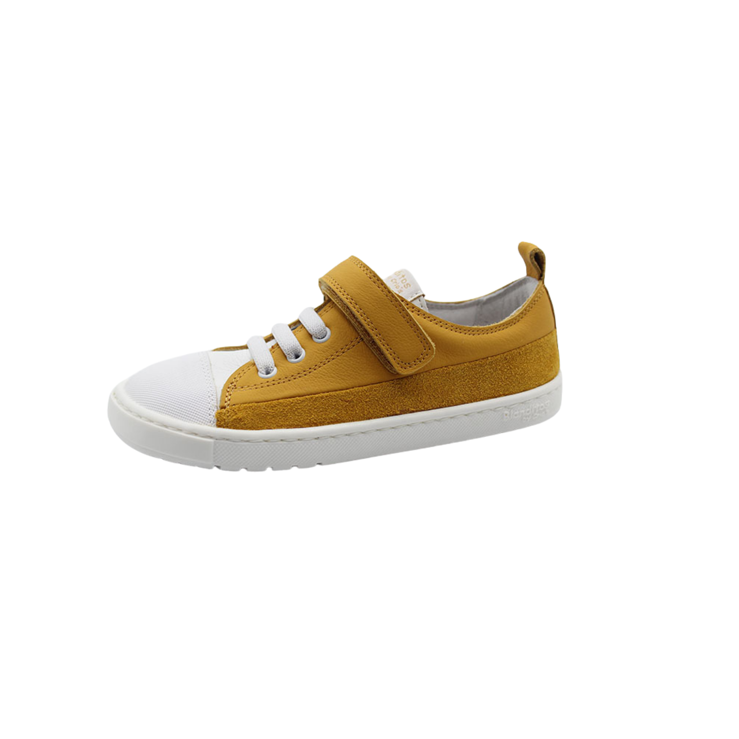 BLANDITOS ANCLA. Arocstock Ocre