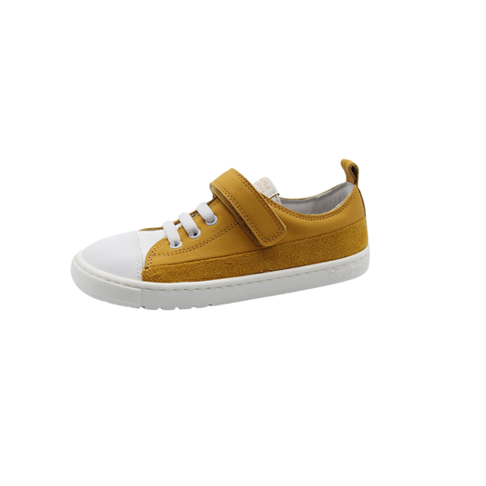 BLANDITOS ANCLA. Arocstock Ocre