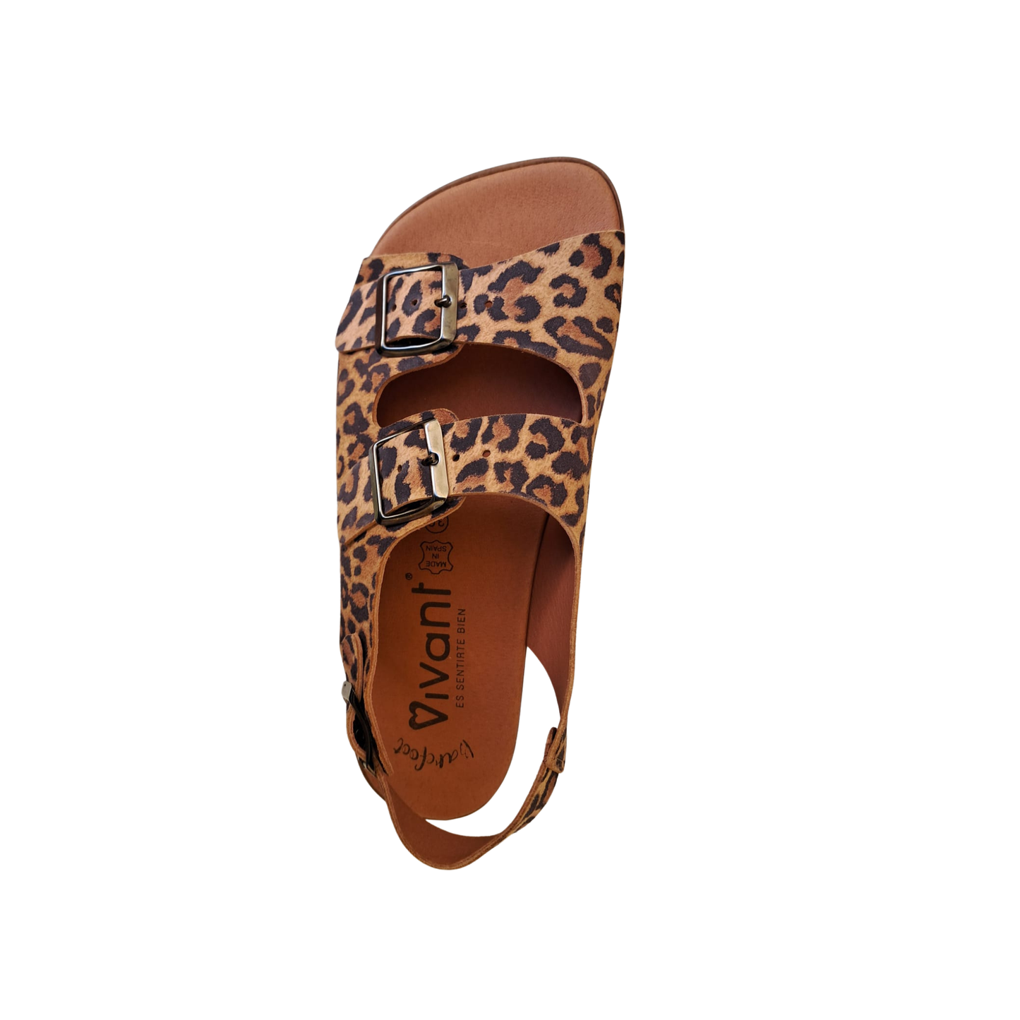 VIVANT SEMILLA Leopardo Serraje